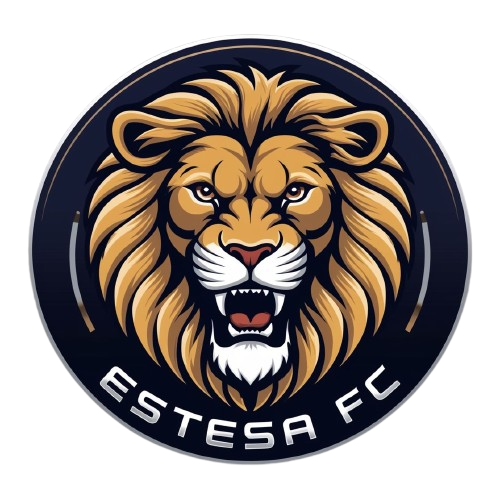 Logo Tim